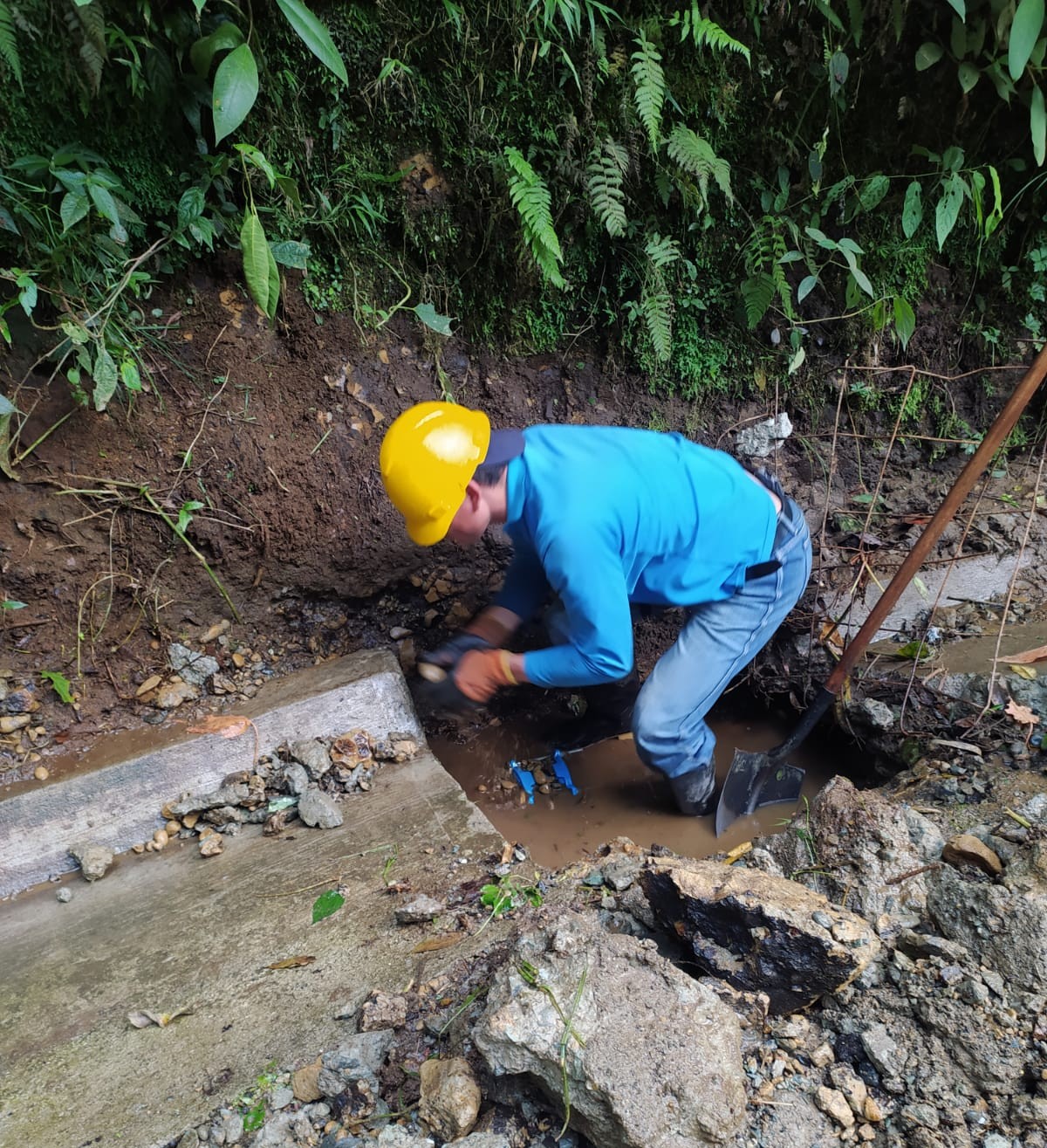 WhatsApp Image 2025-12-28 at 4.19.49 PM