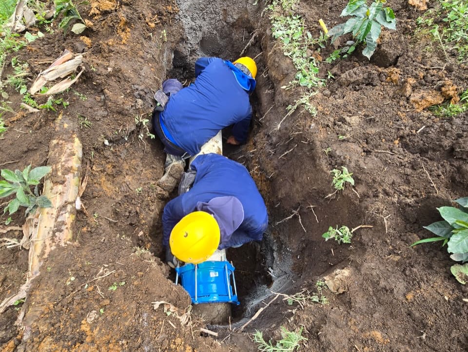 LINEA DE GRAVEDAD MNEGRO